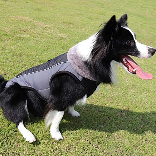 HotYou Abrigo de Forro Polar para Perros pequeños, Chaqueta Abrigo Impermeable y cálido algodón para Cachorro de Invierno frío,Negro,XL: Busto (68-75CM)