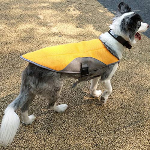 HotYou Chaleco de enfriamiento para Perros, Chaqueta para Perros de Malla Verano Abrigo de Perro cómodo y Ajustable Adecuada para Perros medianos y pequeños,Naranja,XL: Busto (70-90CM)