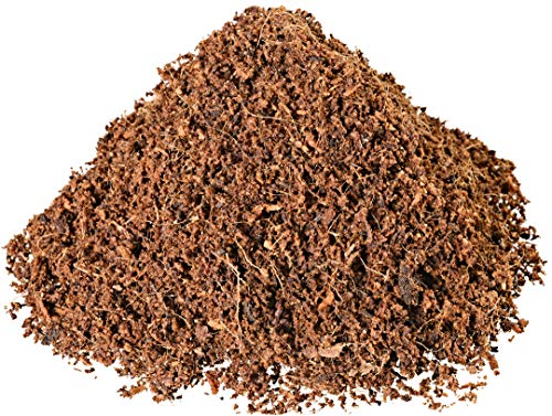 Humusziegel -70 L Bloque de Coco Basura para Reptiles, terrario sustrato terrario, Cama, Suelo, Suelo, Terreno, Humus de Coco ladrillo de Coco Fibra de Coco, Coco, de Coco Fibra de Coco briquetas