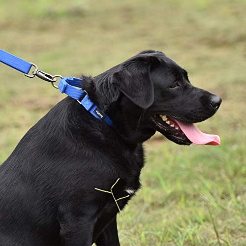 Hyhug Cuello de Perro Mediano para niños y niñas Martingale, Mediano y antifuga de Alta Resistencia: Entrenamiento para Caminar Uso Diario (Medio M, Azul Brillante)