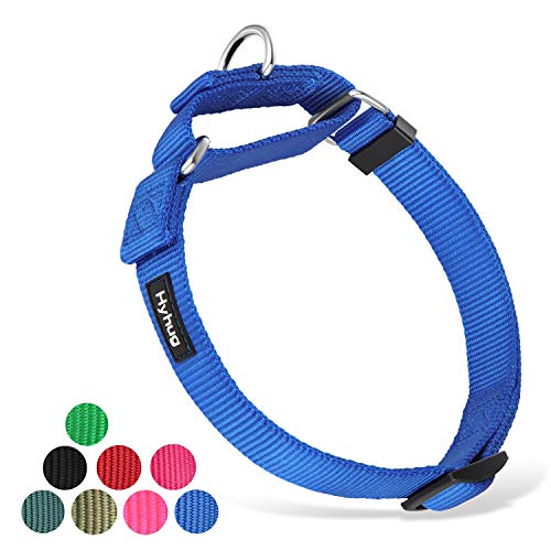 Hyhug Cuello de Perro Mediano para niños y niñas Martingale, Mediano y antifuga de Alta Resistencia: Entrenamiento para Caminar Uso Diario (Medio M, Azul Brillante)