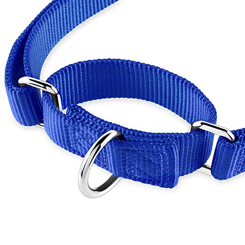 Hyhug Cuello de Perro Mediano para niños y niñas Martingale, Mediano y antifuga de Alta Resistencia: Entrenamiento para Caminar Uso Diario (Medio M, Azul Brillante)