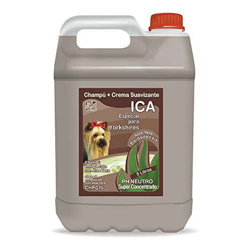 ICA CHPG19 Champú con Aloe Vera para Yorkshire