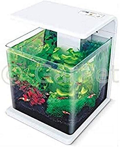 ICA E15 Nano Acuario Biotop Deluxe Natur, Crema