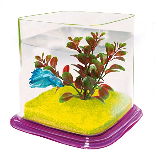 ICA PT072E Bettera Betta Paradise, Rosado