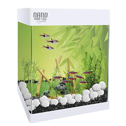 ICA SA - Acuario ICA Kit Nano AQUALED 10 litros