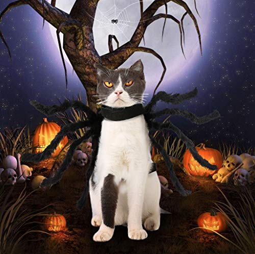 Idepet Mascota Perro Disfraz de Halloween Sombrero de perro Sombrero de cuernos de diablo Fiesta Perros Gatos Disfraz de vacaciones Accesorios decorativos para el cabello para cachorros