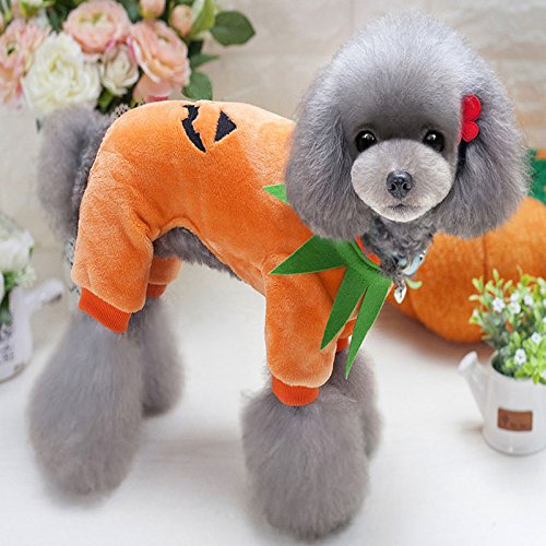 Idepet Ropa de Mascota Halloween Calabaza Disfraz de Forro Polar Chamarra Ropa para Perro Gatos Cachorro Chihuahua Dressing Up Fiesta Halloween Navidad Pascua Festival Actividad Ropa