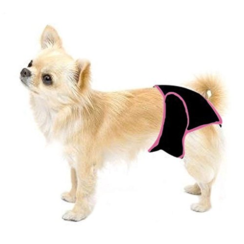 IPENNY pañales de Perro Hembra Lavable Braga de Calor para Perro pañales no desechable Bragas Reutilizables para Mascotas Hygienique séchant cortaúñas