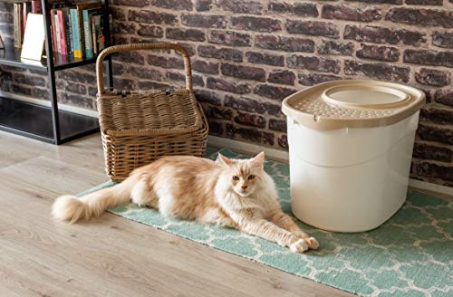 Iris Ohyama Casa Aseo para Gato con Agujeros En La Tapa, Entrada Superior Y Una Pala-Top Entry Cat Litter Box-Tecl-20, Plástico, Blanca y Beige, talla única