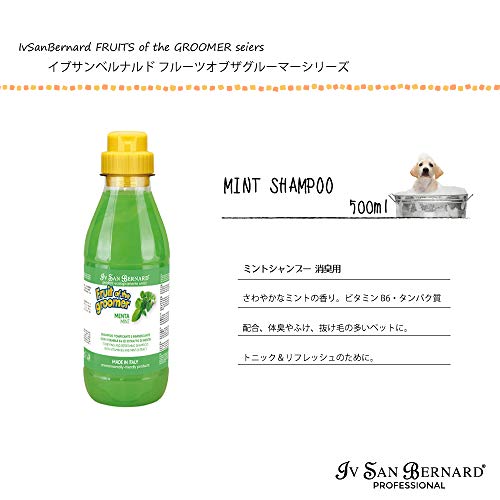 Iv San Bernard 020506 Fruits Champú Menta 500 ml