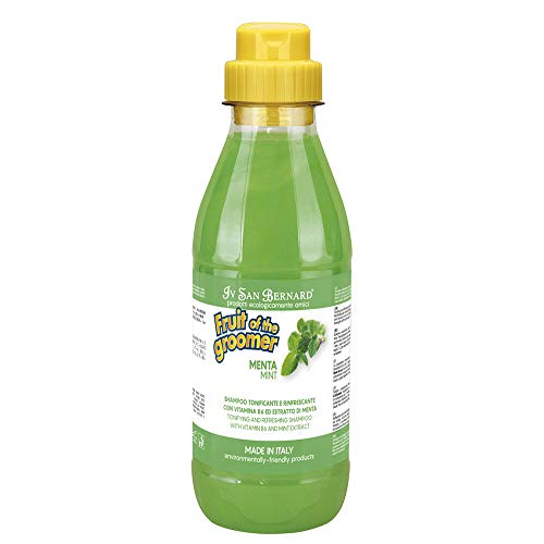 Iv San Bernard 020506 Fruits Champú Menta 500 ml