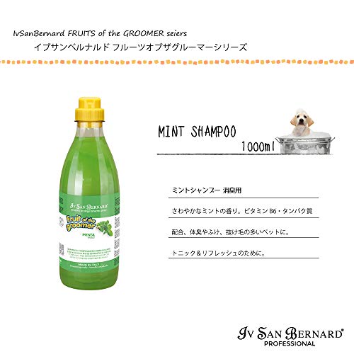 Iv San Bernard 020507 Fruits Champú Menta 1000 ml