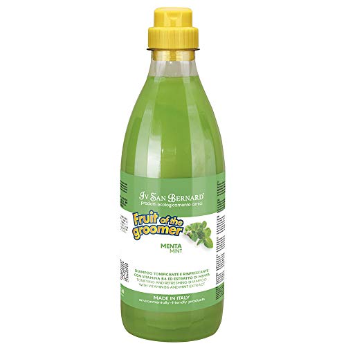 Iv San Bernard 020507 Fruits Champú Menta 1000 ml