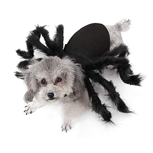 IvyH Decoración de Mascotas de Halloween, Disfraz de Perro Gato simulación de Terror Disfraz de araña de Felpa Fiesta de Disfraces para Cachorro Gatito (S)