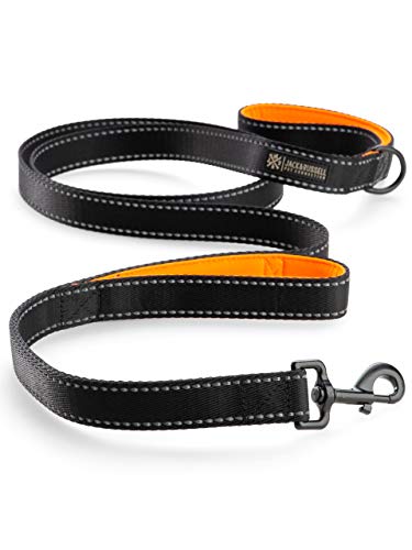 Jack & Russell Correa para Perro de Primera Calidad Rocky - Correa Deportiva para Perro mosquetón de Perno - Correa para Perro con Lazo de Mano de Agarre Suave Incl. Bolsa de Yute (Negro/Naranja)