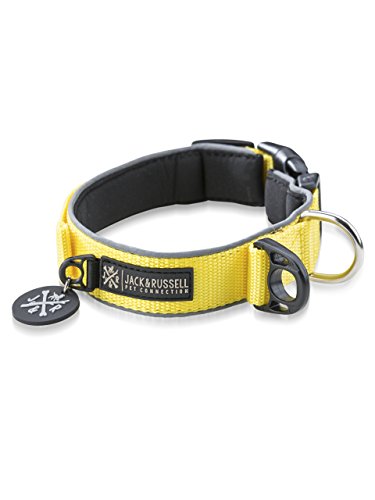 Jack & Russell Premium Collar de Perro Luna Reflectante y Neopreno Acolchado Collar de Perro Varios tamaños y Colores (Circunferencia del Cuello M (35-43 cm), Amarillo)