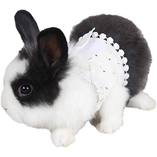 JKGHK Arnés De Flores De Hámster Y Conejo con Correa Vestido De Marmota Accesorios De Conejillo De Indias Mascota Disfraz De Halloween Cosplay Paño Caminando para Animales Pequeños,Blanco