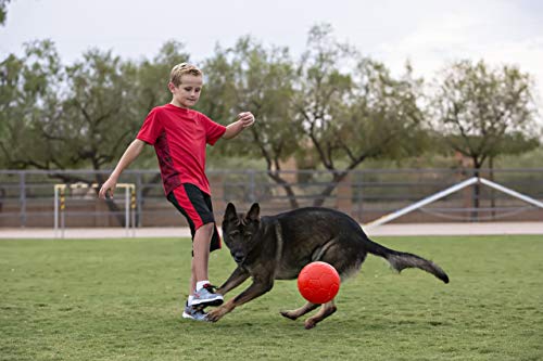 Jolly Pets Pelota de fútbol de 20 cm