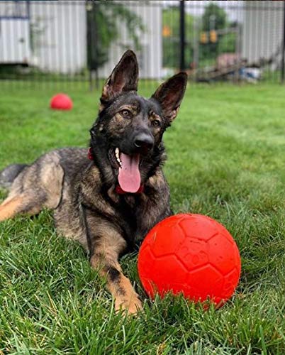 Jolly Pets Pelota de fútbol de 20 cm