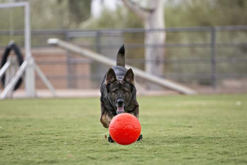 Jolly Pets Pelota de fútbol de 20 cm