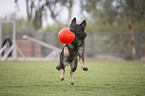 Jolly Pets Pelota de fútbol de 20 cm