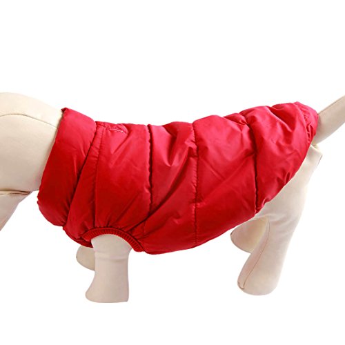 JoyDaog - Chaqueta de perro con forro polar de 2 capas para invierno y clima frío, extra suave, a prueba de viento, para cachorro y perros pequeños