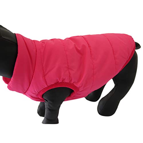 JoyDaog - Chaqueta de perro con forro polar de 2 capas para invierno y clima frío, extra suave, a prueba de viento, para cachorro y perros pequeños