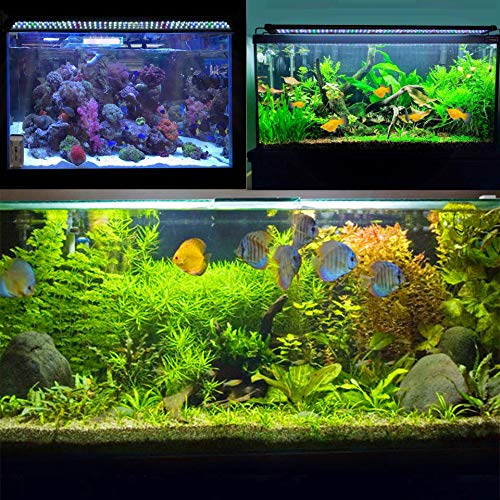 JOYHILL Luz LED Acuario, Pantalla LED Acuario, Iluminación LED para Acuarios Plantados Lámpara LED para Peceras 30-50cm