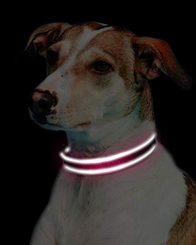 Joytale Collar Perro Reflectante,Nylon Collar Acolchado con Neopreno,Ajustable para Perros Grande,40-60cm,Rosa Caliente