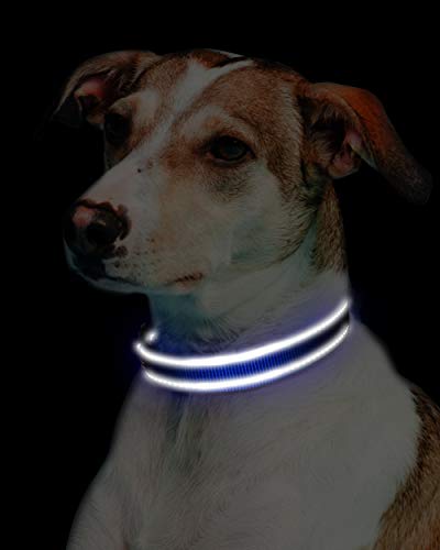 Joytale Collar Perro Reflectante,Nylon Collar Acolchado con Neopreno,Ajustable para Perros Mediano,35-50cm,Azul Marino