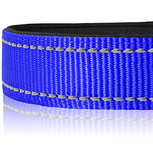 Joytale Collar Perro Reflectante,Nylon Collar Acolchado con Neopreno,Ajustable para Perros Mediano,35-50cm,Azul Marino