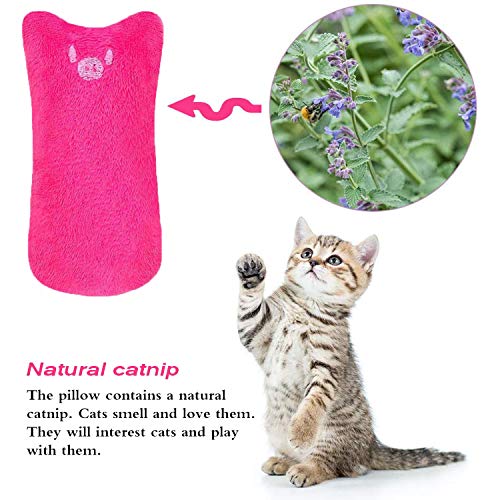 Juguete Felpa Catnip, 5 Piezas Juguetes para Gatos, Juguetes del Catnip, Gato Interactivo Juguete Limpieza de Dientes de Gato, Almohada Creativa Scratch Pet Catnip Dientes molienda Chew Toys (1-2)