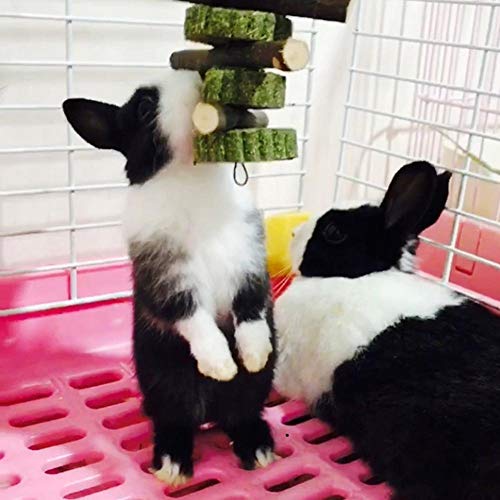 Juguete Para Masticar Mascotas Conejo Dientes Juguetes Manzana Orgánica Palitos De Madera Limpieza Adecuado Para Conejos Chinchilla Hamsters Conejillo De Indias Animal Collar De Dientes De Tiburón