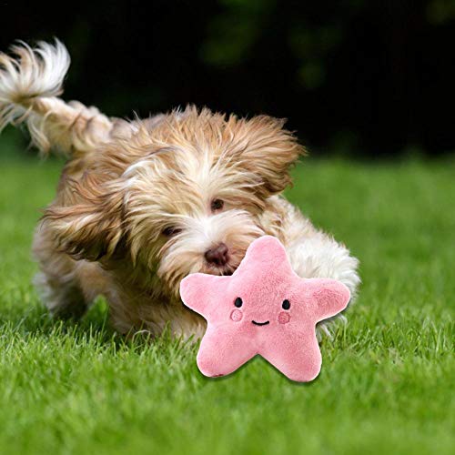 Juguetes de Peluche para Mascotas, Lindo Juguete de descompresión de Gato y Perro de Dibujos Animados de Estrella Rosa de Cinco Puntas, Adecuado para Perros jóvenes y Gatitos