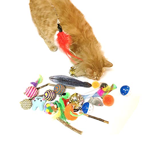 Juguetes Para Gatos 28 Piezas, PietyPet Juguete Interactivo Varita Retráctil con Gatos Ratón, Bolas Campanas, Plumas Cabezas de Repuesto Catnip Ball Juguetes Gatos para Kitty Mascota Gato Juguetes