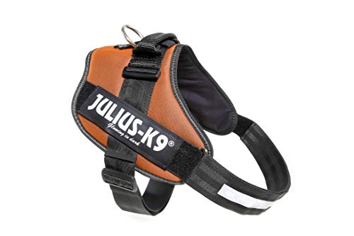 Julius-K9 16IDC - Power Harness