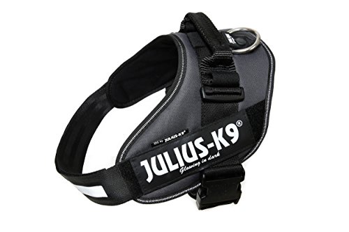 Julius-K9 16IDC - Power Harness