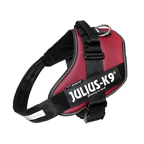 Julius-K9 16IDC - Power Harness