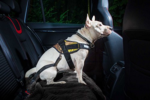 JULIUS K9 16SGA-2 Seat Belt Connecting Size: 2 -For Dogs de 10-25 kg, XS