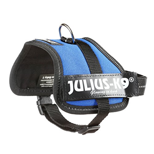 Julius-K9 Baby 2, 33-45 cm, Azul