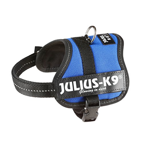 Julius-K9 Baby 2, 33-45 cm, Azul