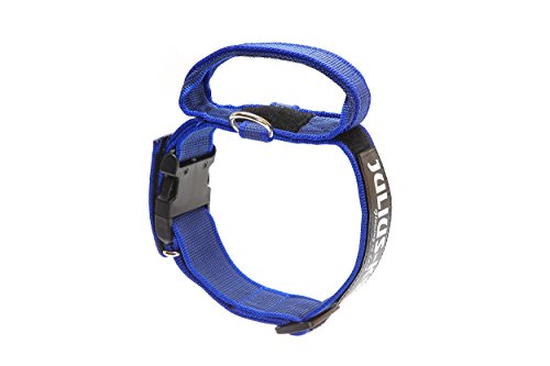 Julius-K9 Collar Color & Gray con la manija, la cerradura de seguridad y el remiendo intercambiables, 40 mm (38-53 cm), Azul-Gris