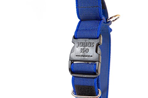 Julius-K9 Collar Color & Gray con la manija, la cerradura de seguridad y el remiendo intercambiables, 40 mm (38-53 cm), Azul-Gris