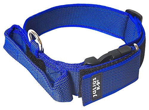 Julius-K9 Collar Color & Gray con la manija, la cerradura de seguridad y el remiendo intercambiables, 40 mm (38-53 cm), Azul-Gris