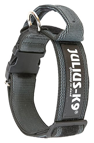 Julius-K9 Collar Color & Gray con la manija, la cerradura de seguridad y el remiendo intercambiables, 40 mm (38-53 cm), Negro-Gris