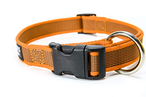 Julius-K9 Color & Gray Collar, 25 Mm (39-65 Cm), Naranja-Gris