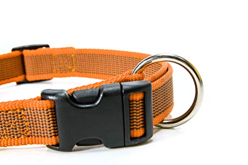 Julius-K9 Color & Gray Collar, 25 Mm (39-65 Cm), Naranja-Gris