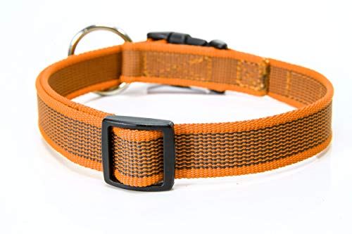 Julius-K9 Color & Gray Collar, 25 Mm (39-65 Cm), Naranja-Gris