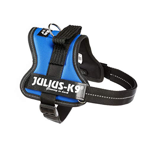 Julius-K9 Mini, 51-67 cm, Azul